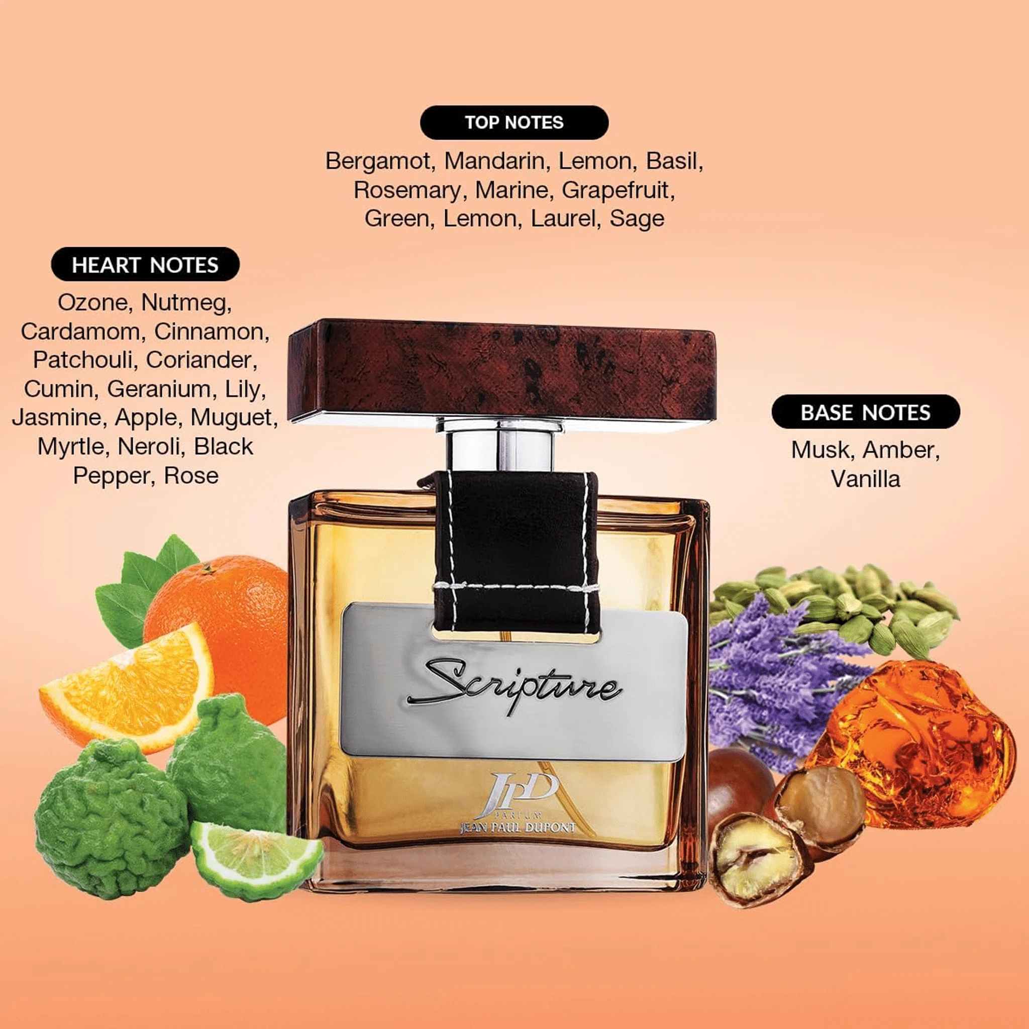 JPD Scripture عطر أو دو تواليت للرجال – 100 مل - Image 3